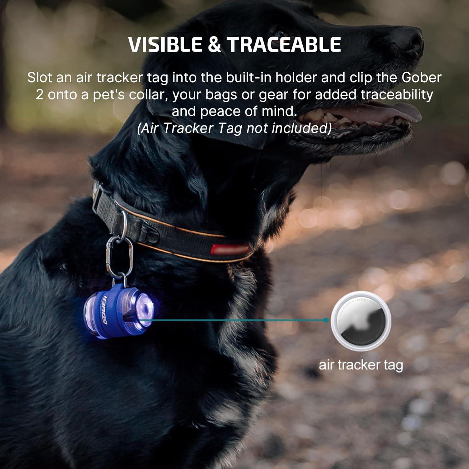 imageOLIGHT Gober 2 Safety Light High Visibility Beacon LED with 6 Color Settings and 4 Lighting Modes USBC Rechargeable Flashing Warning with Clip for Running Cycling Camping Dog WalkingBlue